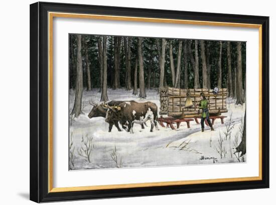 Iroquois Man Transporting Cut Timber by Ox-Drawn Sledge, 1890s-null-Framed Giclee Print