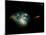 Irregular Galaxy NGC 7673-null-Mounted Photographic Print