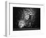 Irreversible-Laura Mexia-Framed Photographic Print