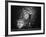 Irreversible-Laura Mexia-Framed Premium Photographic Print