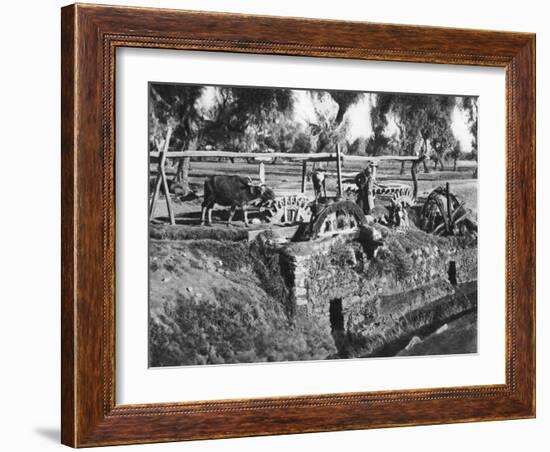 Irrigating Fields Near Cairo, Egypt, C1920S-null-Framed Giclee Print