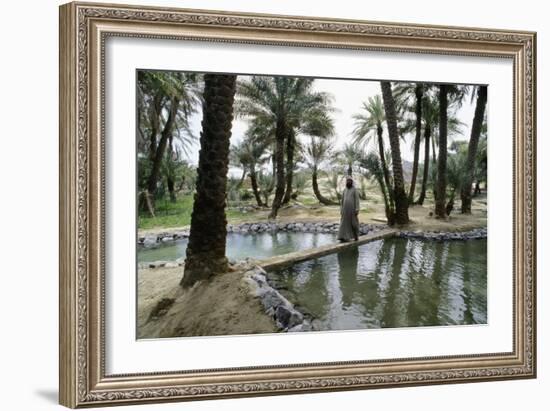 Irrigation channels at al-'Ain oasis-Werner Forman-Framed Giclee Print
