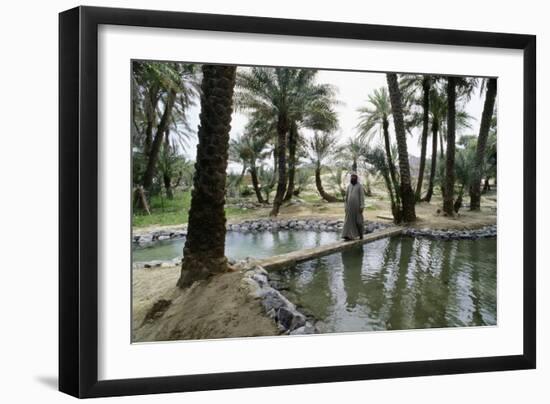 Irrigation channels at al-'Ain oasis-Werner Forman-Framed Giclee Print