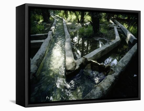 Irrigation channels at al-'Ain oasis-Werner Forman-Framed Premier Image Canvas