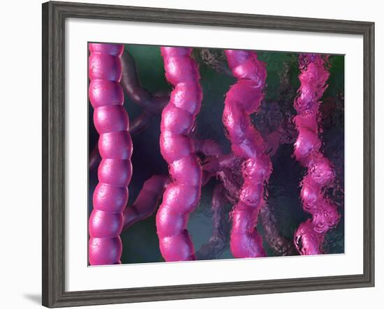 Irritable Bowel Syndrome-David Mack-Framed Photographic Print