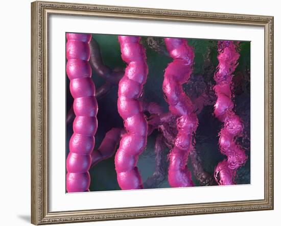 Irritable Bowel Syndrome-David Mack-Framed Photographic Print