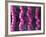 Irritable Bowel Syndrome-David Mack-Framed Photographic Print