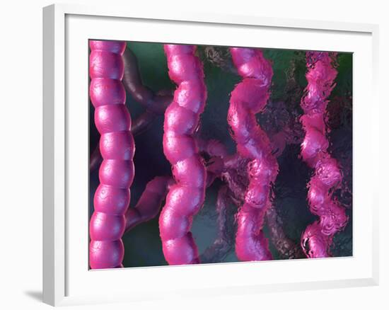 Irritable Bowel Syndrome-David Mack-Framed Photographic Print