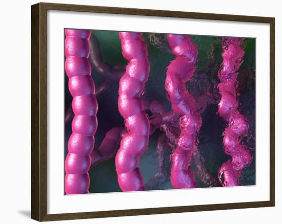 Irritable Bowel Syndrome-David Mack-Framed Photographic Print