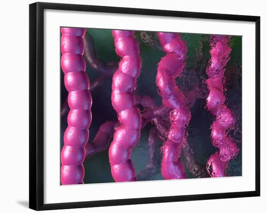 Irritable Bowel Syndrome-David Mack-Framed Photographic Print