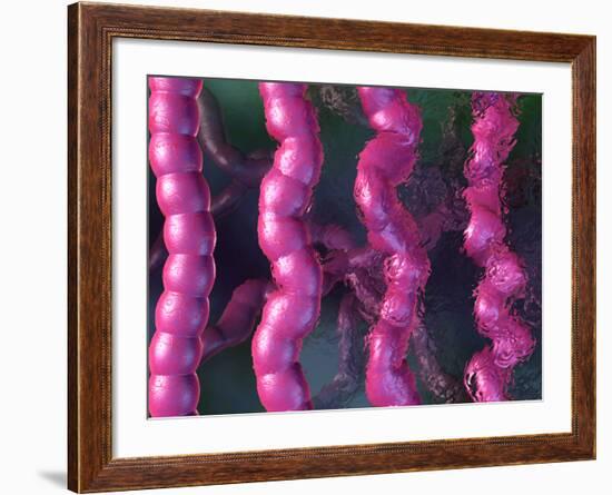 Irritable Bowel Syndrome-David Mack-Framed Photographic Print