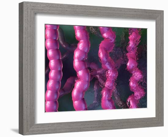 Irritable Bowel Syndrome-David Mack-Framed Photographic Print