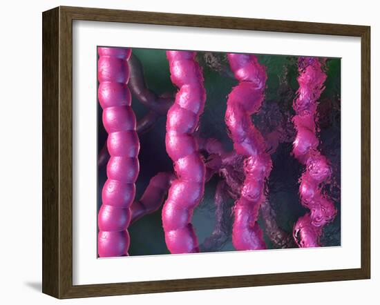 Irritable Bowel Syndrome-David Mack-Framed Photographic Print