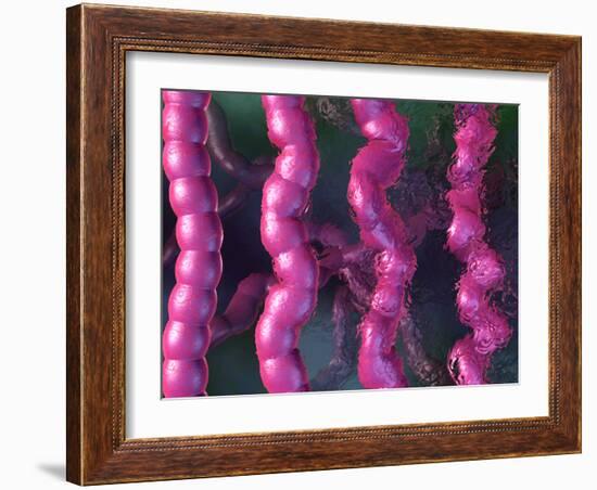 Irritable Bowel Syndrome-David Mack-Framed Photographic Print