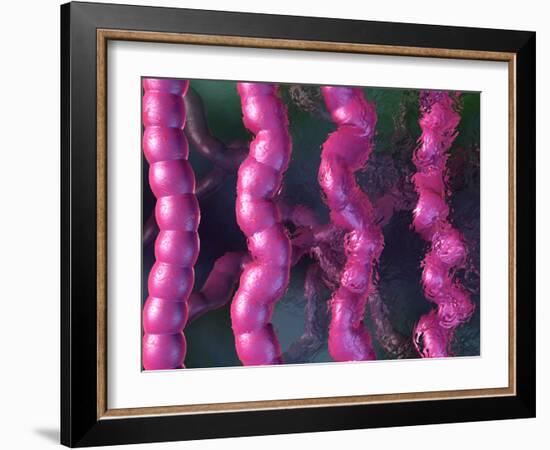 Irritable Bowel Syndrome-David Mack-Framed Photographic Print