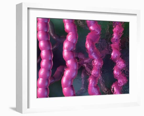 Irritable Bowel Syndrome-David Mack-Framed Photographic Print