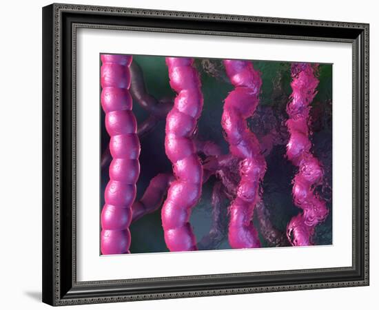 Irritable Bowel Syndrome-David Mack-Framed Photographic Print