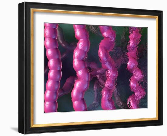 Irritable Bowel Syndrome-David Mack-Framed Photographic Print