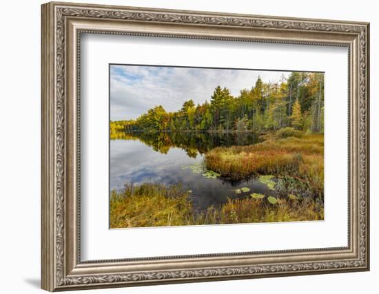 Irwin Lake and Bog, Hiawatha National Forest, Upper Peninsula of Michigan-Adam Jones-Framed Photographic Print