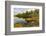 Irwin Lake and Bog, Hiawatha National Forest, Upper Peninsula of Michigan-Adam Jones-Framed Photographic Print