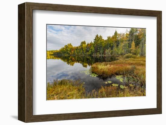 Irwin Lake and Bog, Hiawatha National Forest, Upper Peninsula of Michigan-Adam Jones-Framed Photographic Print