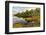 Irwin Lake and Bog, Hiawatha National Forest, Upper Peninsula of Michigan-Adam Jones-Framed Photographic Print