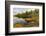 Irwin Lake and Bog, Hiawatha National Forest, Upper Peninsula of Michigan-Adam Jones-Framed Photographic Print