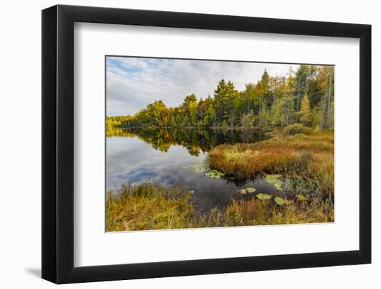 Irwin Lake and Bog, Hiawatha National Forest, Upper Peninsula of Michigan-Adam Jones-Framed Photographic Print