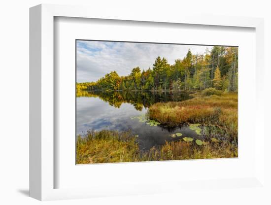 Irwin Lake and Bog, Hiawatha National Forest, Upper Peninsula of Michigan-Adam Jones-Framed Photographic Print