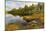 Irwin Lake and Bog, Hiawatha National Forest, Upper Peninsula of Michigan-Adam Jones-Mounted Photographic Print