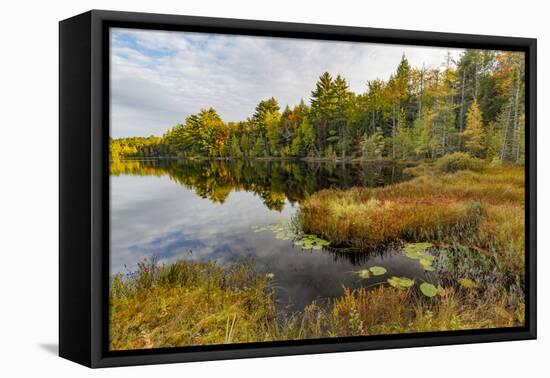 Irwin Lake and Bog, Hiawatha National Forest, Upper Peninsula of Michigan-Adam Jones-Framed Premier Image Canvas