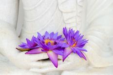 Fresh Flue Star Water Lily or Star Lotus Flowers in Buddha Image Hands-Iryna Rasko-Photographic Print