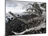 Isaac Hale Beach Park, Puna Coast, Hawaii-Maresa Pryor-Mounted Photographic Print