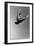 Isaac Mullins-Bill Cooper-Framed Premium Giclee Print