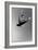 Isaac Mullins-Bill Cooper-Framed Art Print