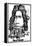 Isaac Newton, Caricature-Gary Gastrolab-Framed Premier Image Canvas