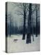 Stretched Canvas Print