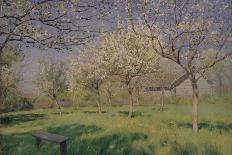 Apple Trees Blooming, C. 1895-Isaak Ilyich Levitan-Framed Premier Image Canvas