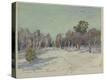 Stretched Canvas Print