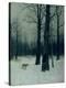Stretched Canvas Print
