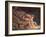 Isaak Newton, 1795-William Blake-Framed Giclee Print