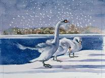 Swans at Kensington Palace-Isabel Hutchison-Giclee Print