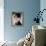 Isabella Rossellini-null-Framed Stretched Canvas displayed on a wall