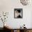 Isabella Rossellini-null-Framed Stretched Canvas displayed on a wall