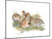 Giclee Print