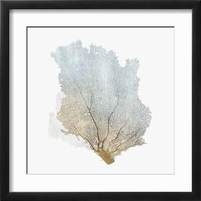 Coral Specimen IV Wall Art, Canvas Prints, Framed Prints, Wall Peels