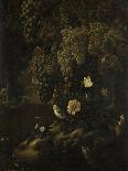 Grapes, Flowers and Animals-Isac Vromans-Stretched Canvas