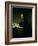 Isambard Kingdom Brunel (1806-59)-John Callcott Horsley-Framed Giclee Print