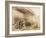 Isambard Kingdom Brunel beside the 'Great Eastern', c1857-Robert Howlett-Framed Photographic Print