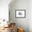 Isbjorn, 2013-Mark Adlington-Framed Giclee Print displayed on a wall